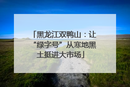 黑龙江双鸭山：让“绿字号”从寒地黑土挺进大市场