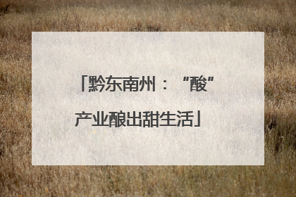 黔东南州：“酸”产业酿出甜生活