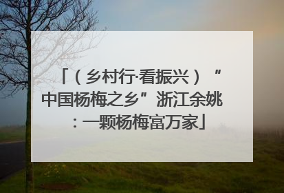 （乡村行·看振兴）“中国杨梅之乡”浙江余姚：一颗杨梅富万家