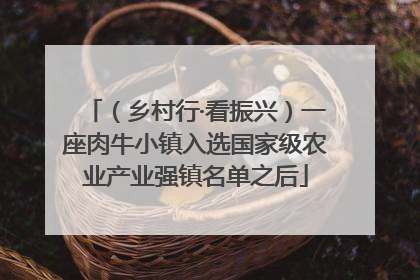 （乡村行·看振兴）一座肉牛小镇入选国家级农业产业强镇名单之后