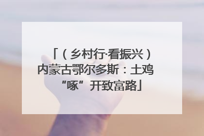 （乡村行·看振兴）内蒙古鄂尔多斯：土鸡“啄”开致富路