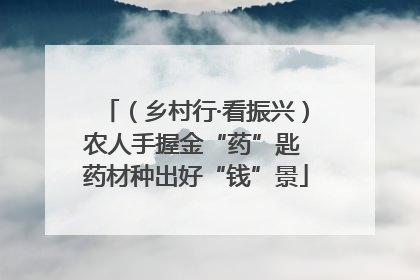 （乡村行·看振兴）农人手握金“药”匙 药材种出好“钱”景