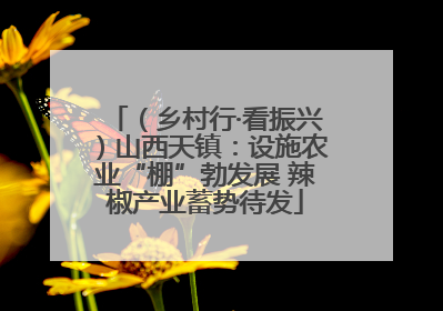 （乡村行·看振兴）山西天镇：设施农业“棚”勃发展 辣椒产业蓄势待发