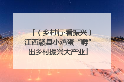 （乡村行·看振兴）江西赣县小鸡蛋“孵”出乡村振兴大产业
