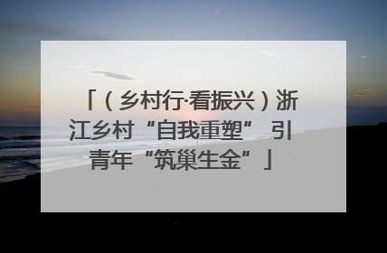 （乡村行·看振兴）浙江乡村“自我重塑” 引青年“筑巢生金”