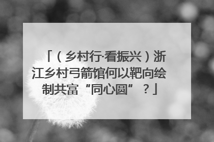 （乡村行·看振兴）浙江乡村弓箭馆何以靶向绘制共富“同心圆”？