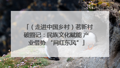 （走进中国乡村）茗新村破圈记：民族文化赋能 产业借势 “网红东风”