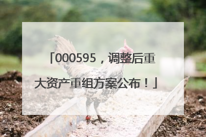 000595，调整后重大资产重组方案公布！