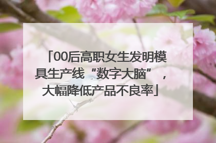 00后高职女生发明模具生产线“数字大脑”，大幅降低产品不良率
