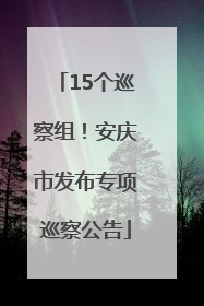 15个巡察组！安庆市发布专项巡察公告