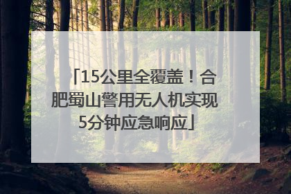 15公里全覆盖！合肥蜀山警用无人机实现5分钟应急响应
