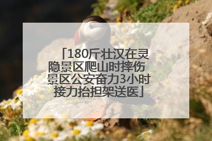180斤壮汉在灵隐景区爬山时摔伤 景区公安奋力3小时接力抬担架送医