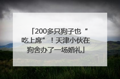 200多只狗子也“吃上席”！天津小伙在狗舍办了一场婚礼