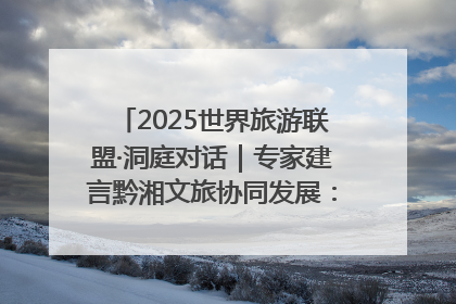 2025世界旅游联盟·洞庭对话｜专家建言黔湘文旅协同发展：聚焦产品稀缺性 深化区域经验共享