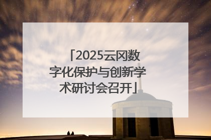 2025云冈数字化保护与创新学术研讨会召开