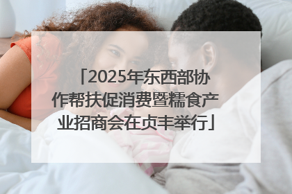 2025年东西部协作帮扶促消费暨糯食产业招商会在贞丰举行