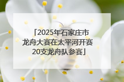 2025年石家庄市龙舟大赛在太平河开赛 20支龙舟队参赛