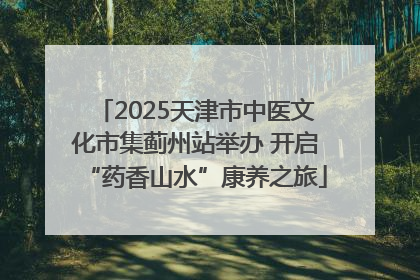 2025天津市中医文化市集蓟州站举办 开启“药香山水”康养之旅