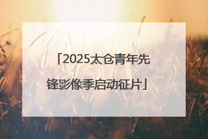 2025太仓青年先锋影像季启动征片