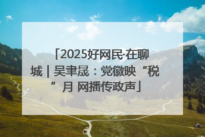 2025好网民·在聊城｜吴聿晟：党徽映“税”月 网播传政声
