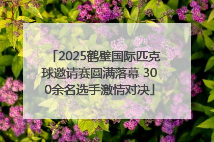 2025鹤壁国际匹克球邀请赛圆满落幕 300余名选手激情对决