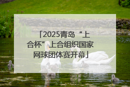 2025青岛“上合杯”上合组织国家网球团体赛开幕