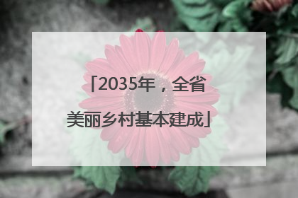 2035年，全省美丽乡村基本建成