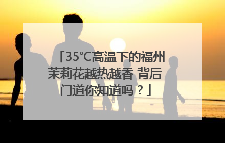 35℃高温下的福州茉莉花越热越香 背后门道你知道吗？