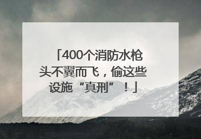 400个消防水枪头不翼而飞，偷这些设施“真刑”！