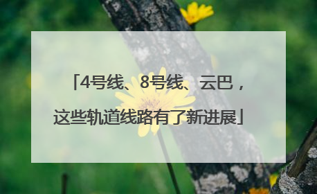 4号线、8号线、云巴，这些轨道线路有了新进展