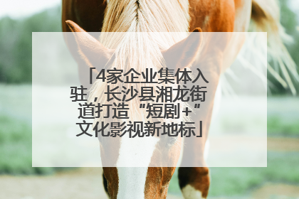 4家企业集体入驻，长沙县湘龙街道打造“短剧+”文化影视新地标