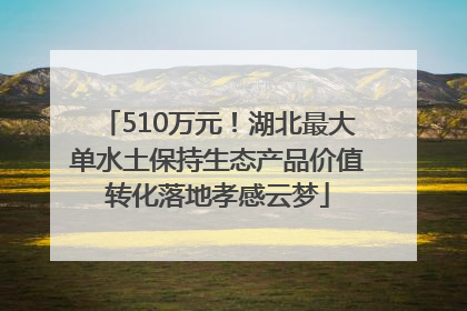 510万元！湖北最大单水土保持生态产品价值转化落地孝感云梦