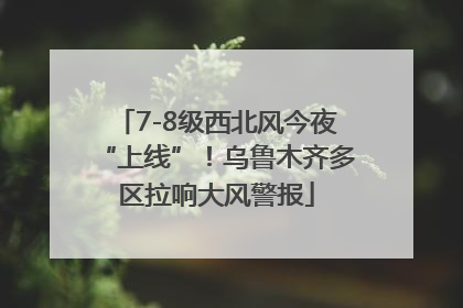 7-8级西北风今夜“上线”！乌鲁木齐多区拉响大风警报
