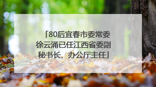 80后宜春市委常委徐云涌已任江西省委副秘书长、办公厅主任