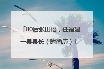 80后张田怡，任福建一县县长（附简历）
