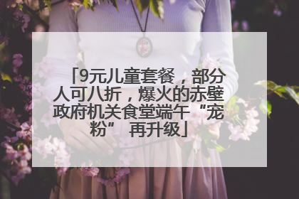 9元儿童套餐，部分人可八折，爆火的赤壁政府机关食堂端午“宠粉” 再升级