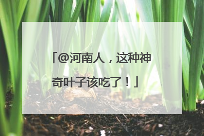 @河南人，这种神奇叶子该吃了！