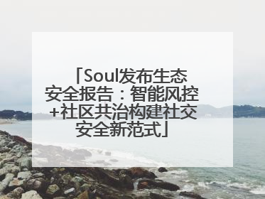 Soul发布生态安全报告：智能风控+社区共治构建社交安全新范式