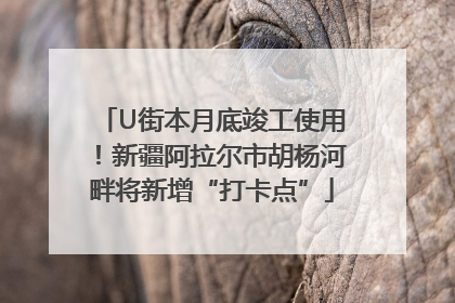 U街本月底竣工使用！新疆阿拉尔市胡杨河畔将新增“打卡点”