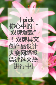 pick你心中的“双牌爆款”！双牌县文创产品设计大赛网络投票评选火热进行中